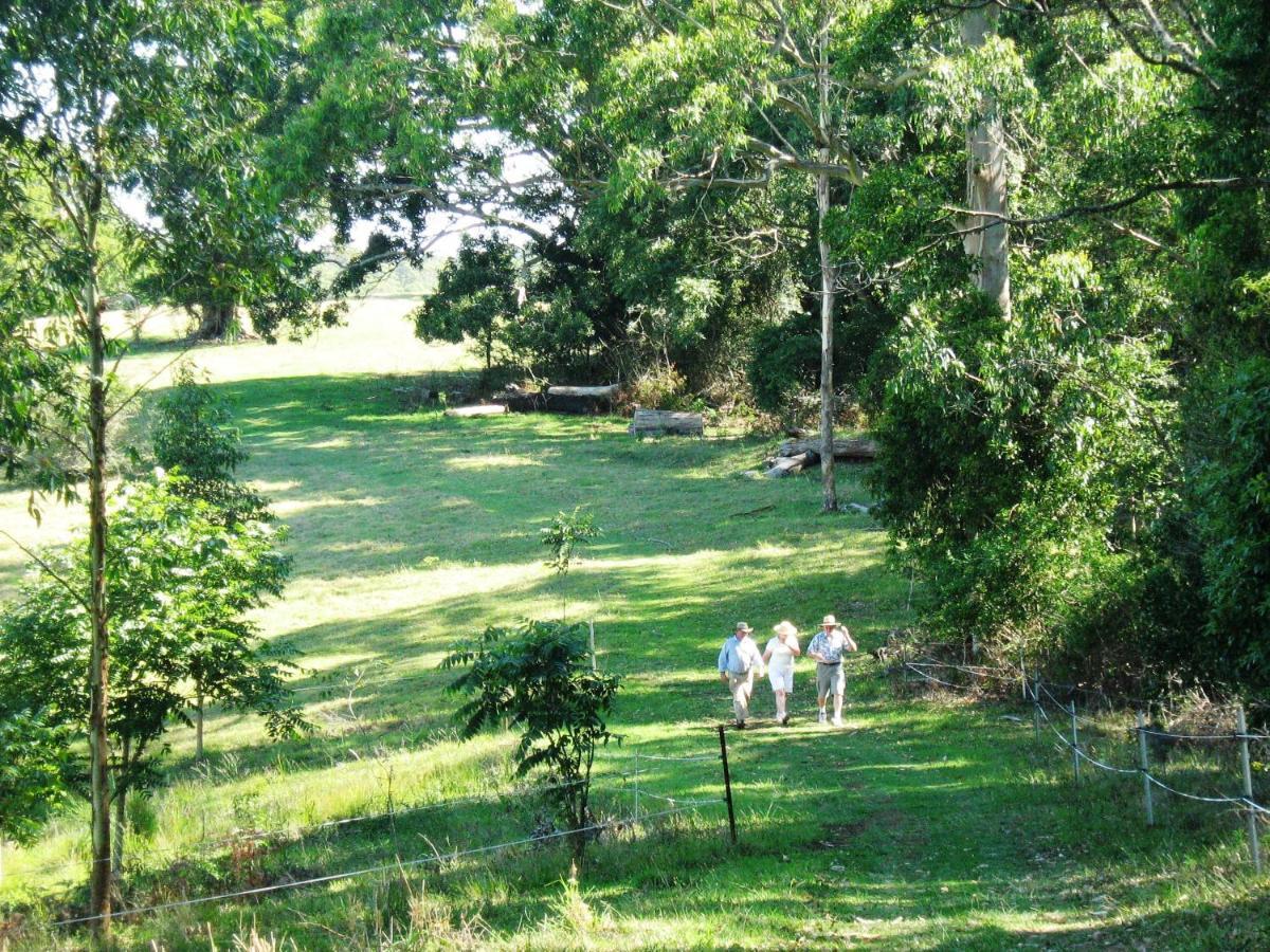 Bellthorpe Stays Maleny Eksteriør bilde